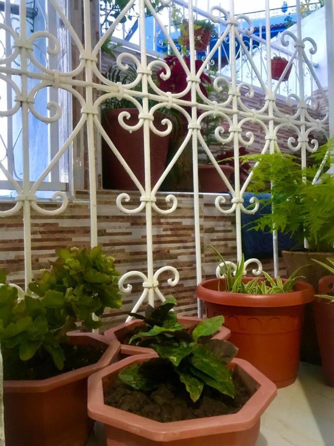 Dar Sidi Mfedal Apartment Chefchaouen Exterior photo