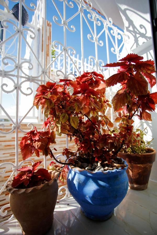 Dar Sidi Mfedal Apartment Chefchaouen Exterior photo